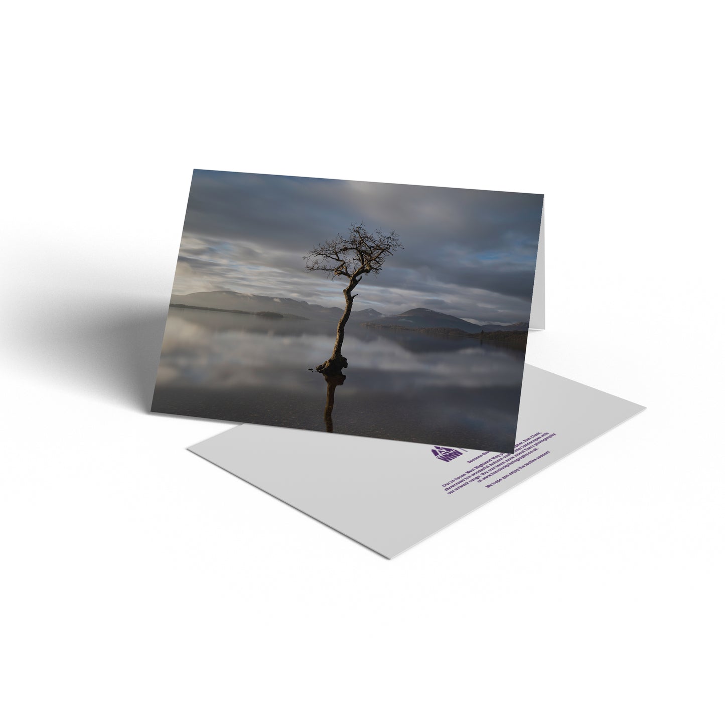 The Tree At Milarrochy A5 Greetings Card